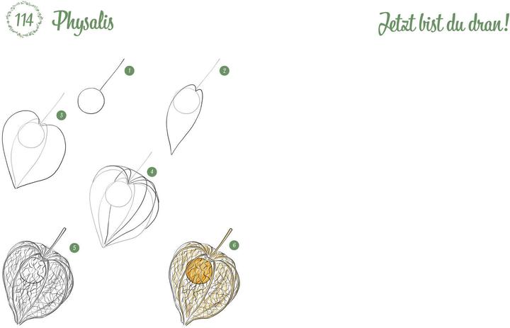 Immagine prodotto Disegna 300 motivi - Botanica