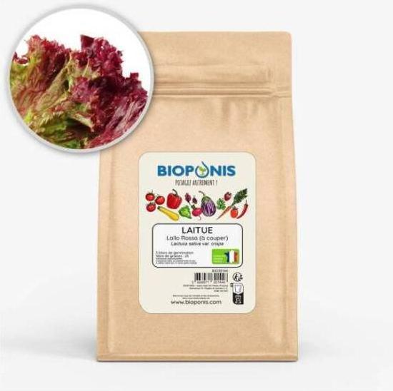 Bioponis Lollo Rossa (x5) (Vegetable seeds)