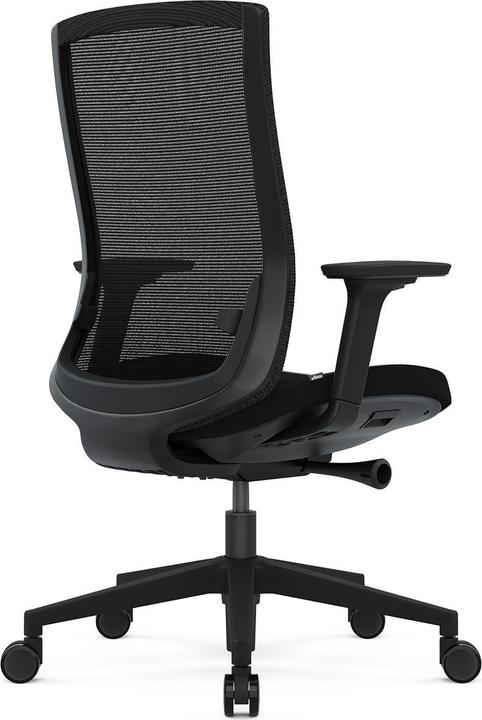 Actual product image ofinto Ergo