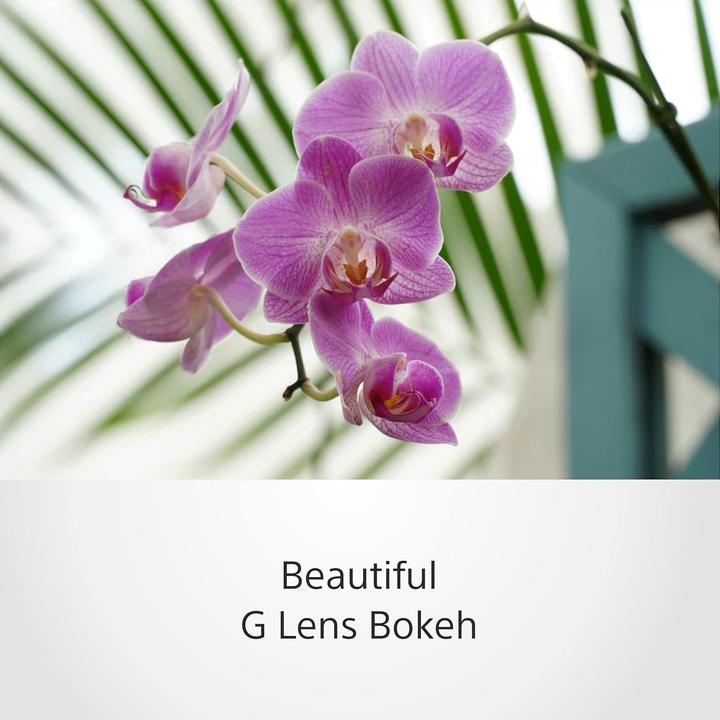 Produktbild Sony E PZ 18-105mm f/4 G OSS (Sony E, APS-C / DX)