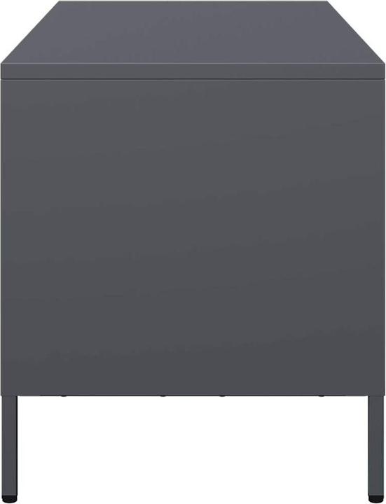 Image du produit vidaXL TV-Schrank