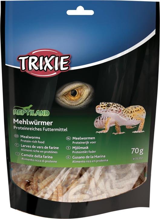 Trixie mealworms (0.07 kg)