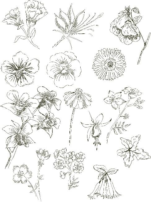 Produktbild Natur Inspiration