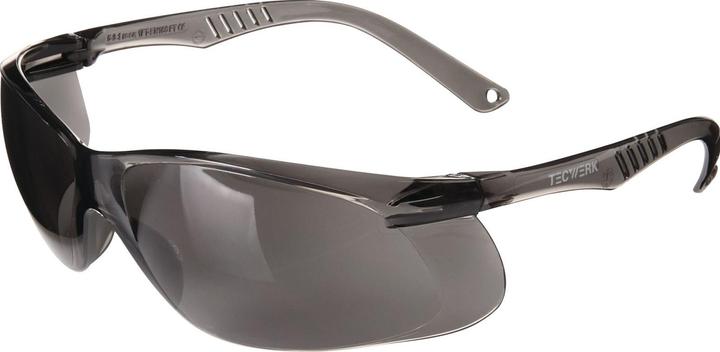Tecwerk Schutzbrille Daylight One