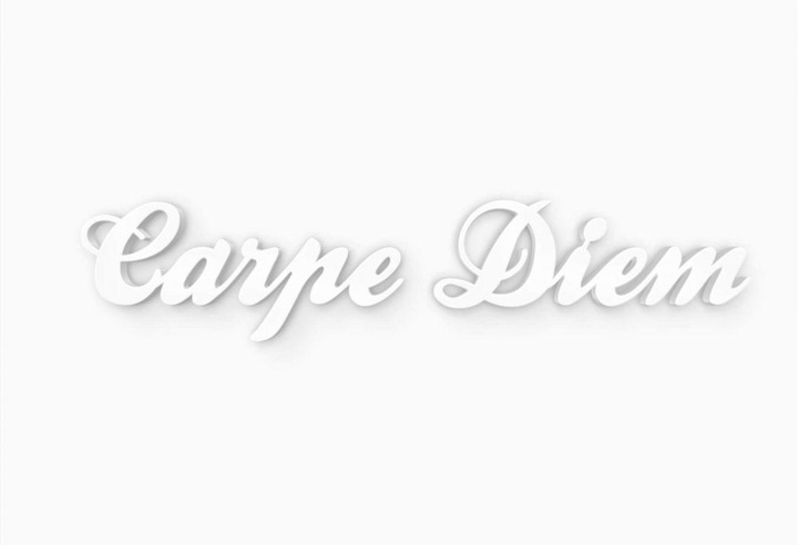 Produktbild Trenddeko 3D Carpe Diem (101 x 23 cm)