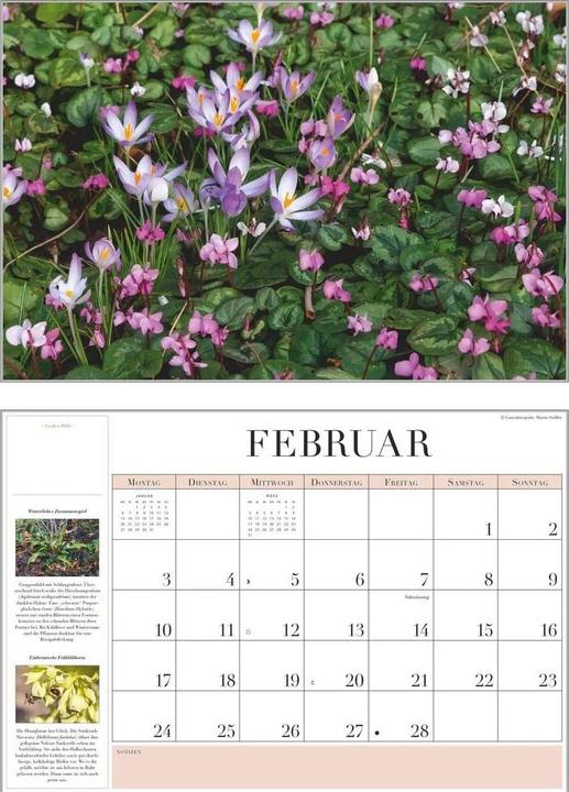 Immagine prodotto Garten-Kalender 2026 - Broschürenkalender - mit informativen Texten - mit Jahresplaner - Format 42 (A3)