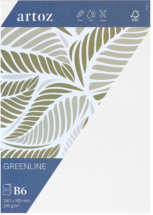 Actual product image Artoz Green Line Pkg 5 cards B6 birch (B6, 216 g/m²)