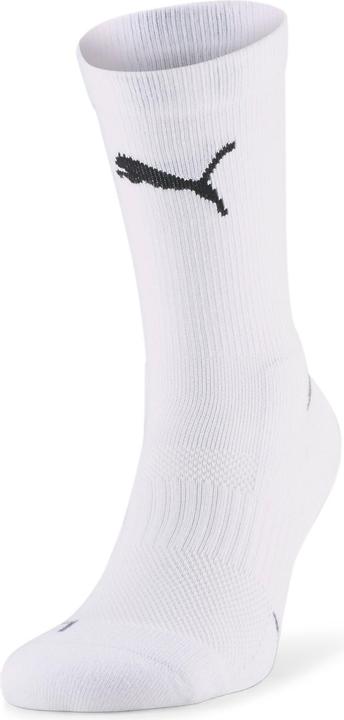 Puma Team Indoor SMU Socks (47, 49)