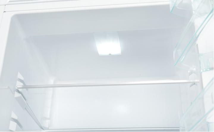 Actual product image Snaige RF53SM-S5JJ2E0 (267 l)