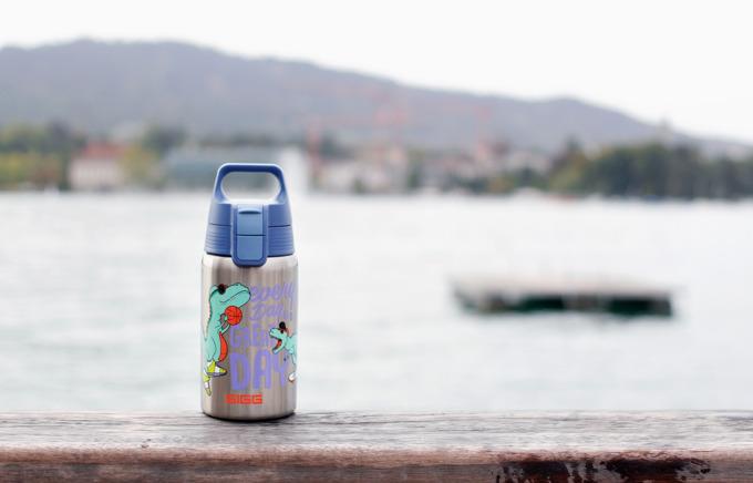 Actual product image Sigg Great Day (0.50 l)