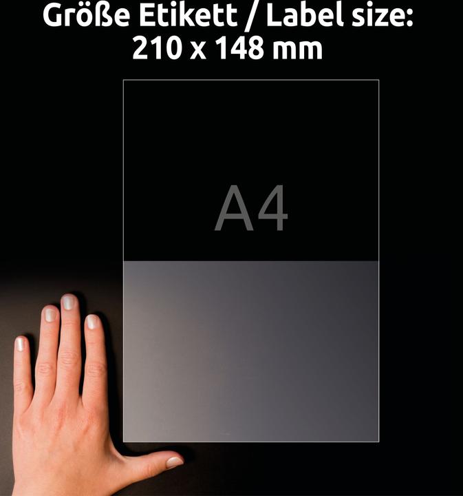 Productafbeelding Avery AVZ L8012-10 Antimicrobiële Etiketten 210x148mm transparant