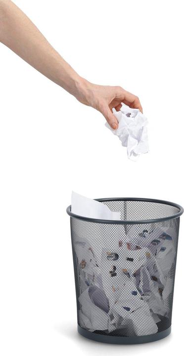 Immagine prodotto Zeller Present Cestino (12 l)