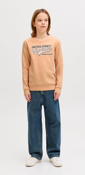 Produktbild Jack & Jones Sweatshirt Junior Sweatshirt (164)