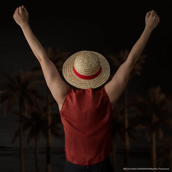 Image du produit Cinereplicas Luffy (Taille unique)