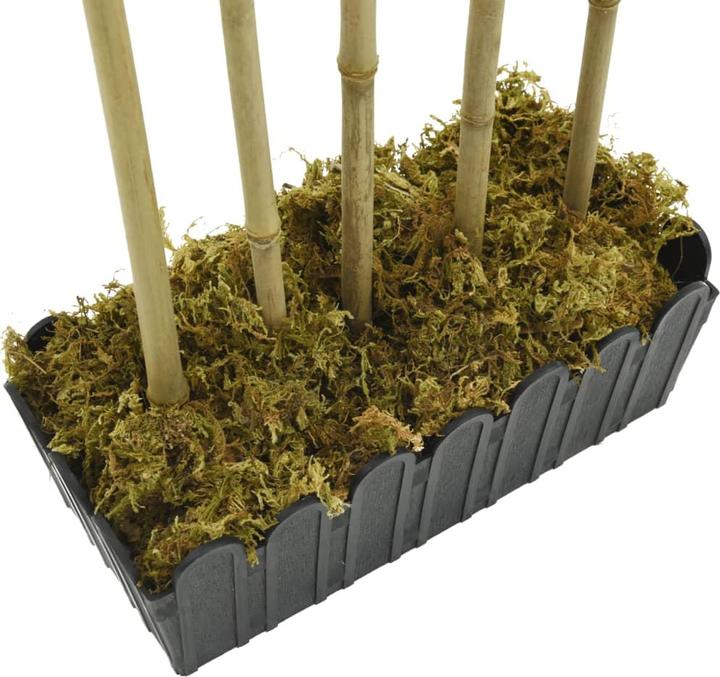 Immagine prodotto vidaXL künstlicher Bambus (80 cm)