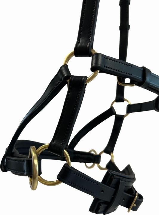 Actual product image TdeT Sidepull