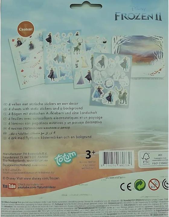 Actual product image Totum Disney Frozen 2
