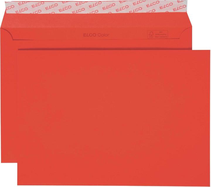 Elco Optifix (C5, 250 x)