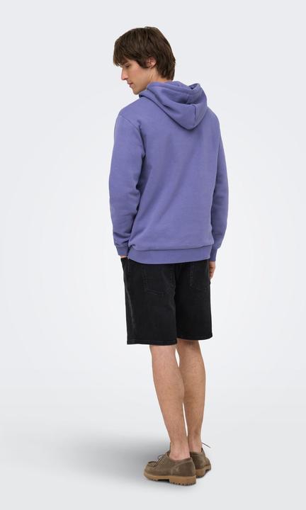 Produktbild Only & Sons Onsceres Hoodie Sweat Noos (M)