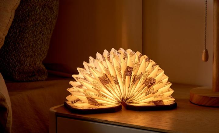 Actual product image Gingko Velvet Accordion Lamp (450 lm)