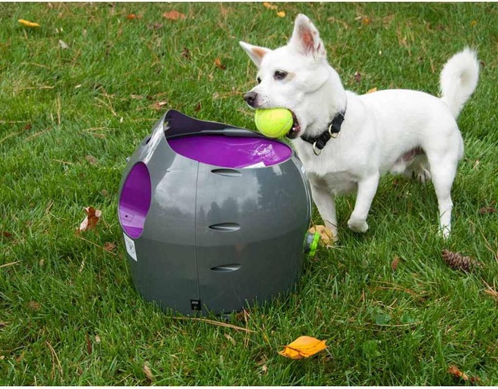 Immagine prodotto PetSafe Lanciatore di palle (Palla giocattolo per cani)