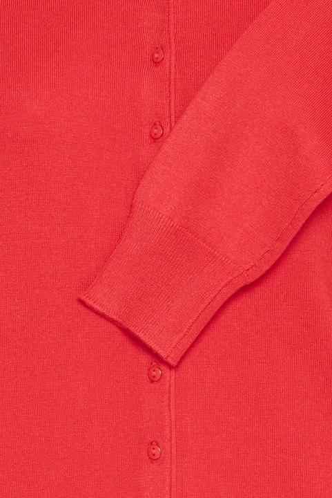 Image du produit Fransa Zubasic 60 (S)