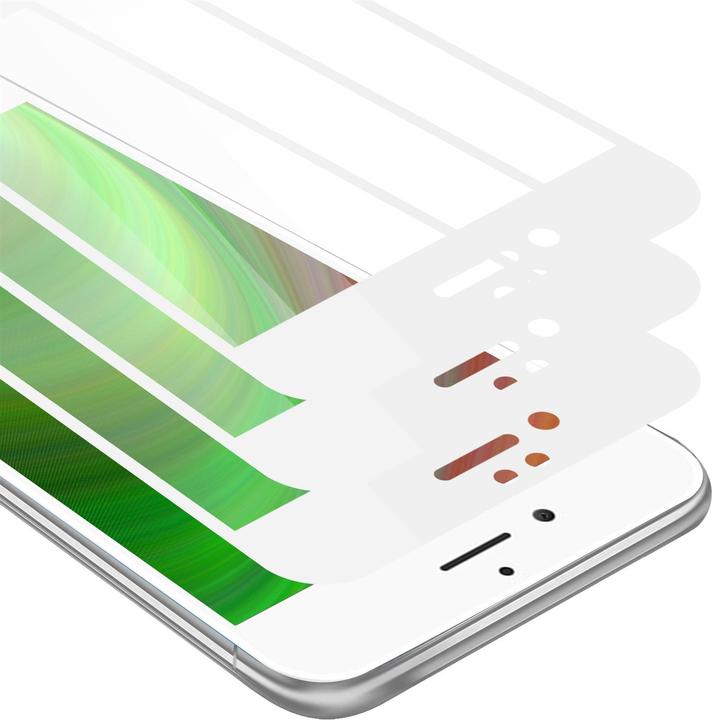 TRANSPARENT with WHITE
