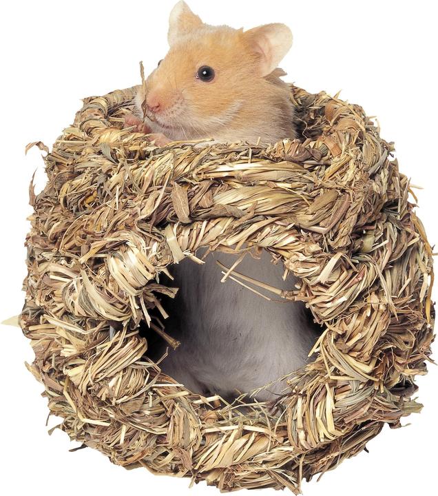 Actual product image Kerbl Grass Nest