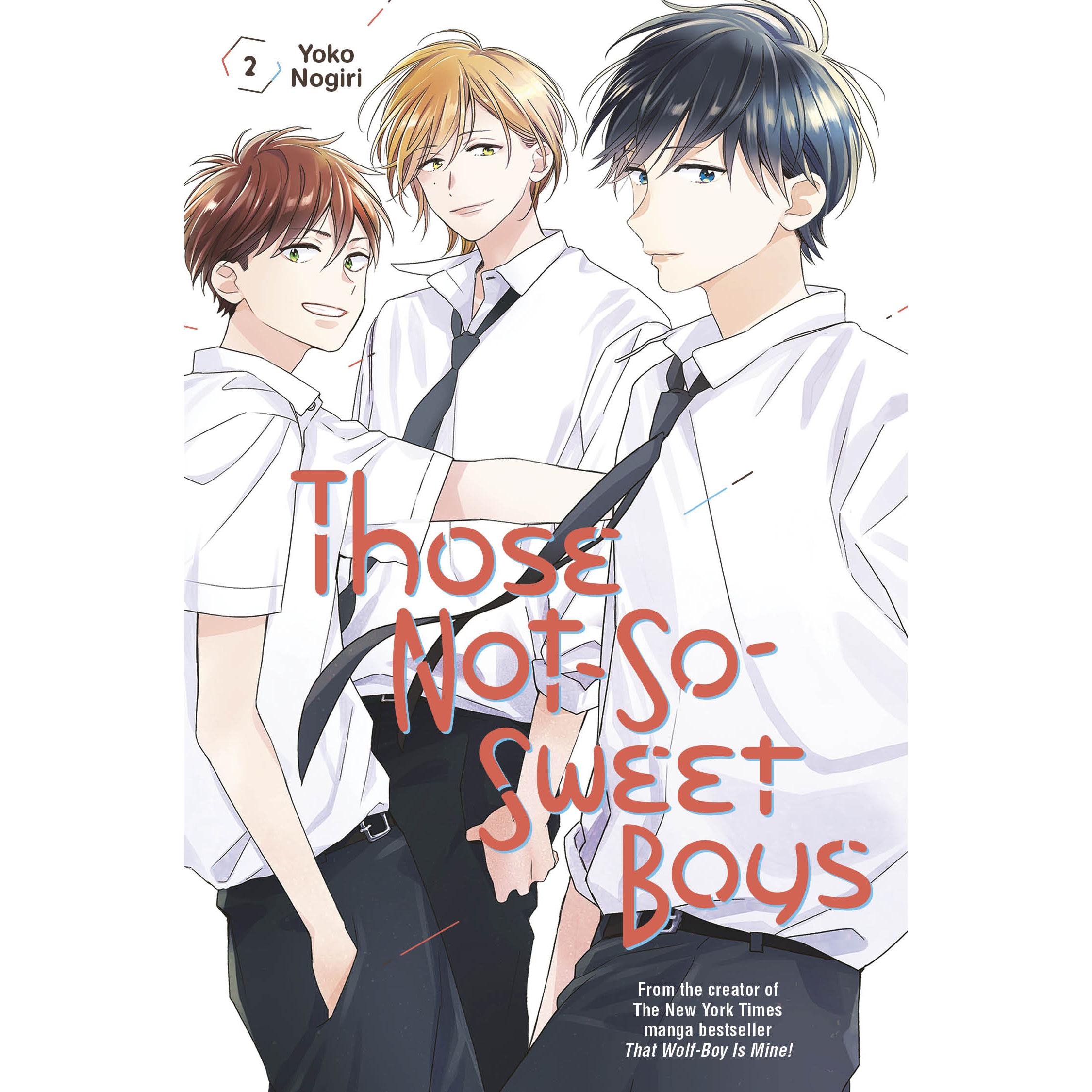 Nogiri:Those Not-So-Sweet Boys 2, Belletristik von Yoko Nogiri