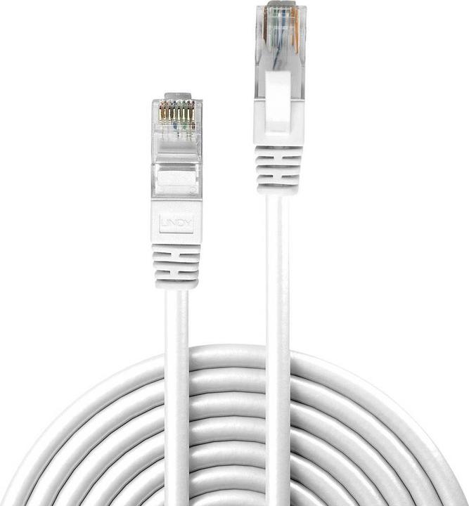 Actual product image Lindy Network cable (U/UTP, CAT6, 30 m)