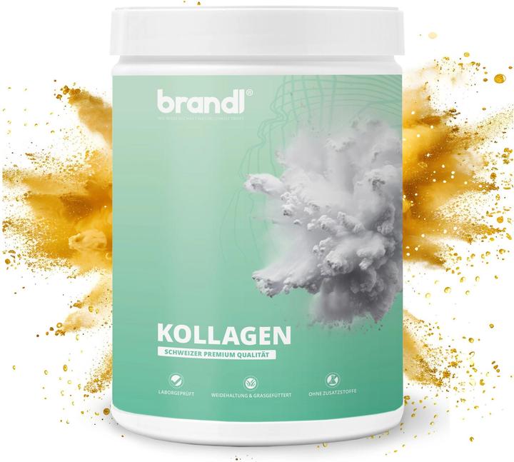 Brandl Kollagen (1 Stück, Pulver, 550 g)