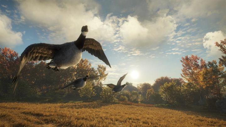 Produktbild THQ PS4 The Hunter Call of the Wild (PS4, FR, EN)