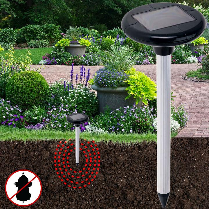 Actual product image ProGarden Amalia