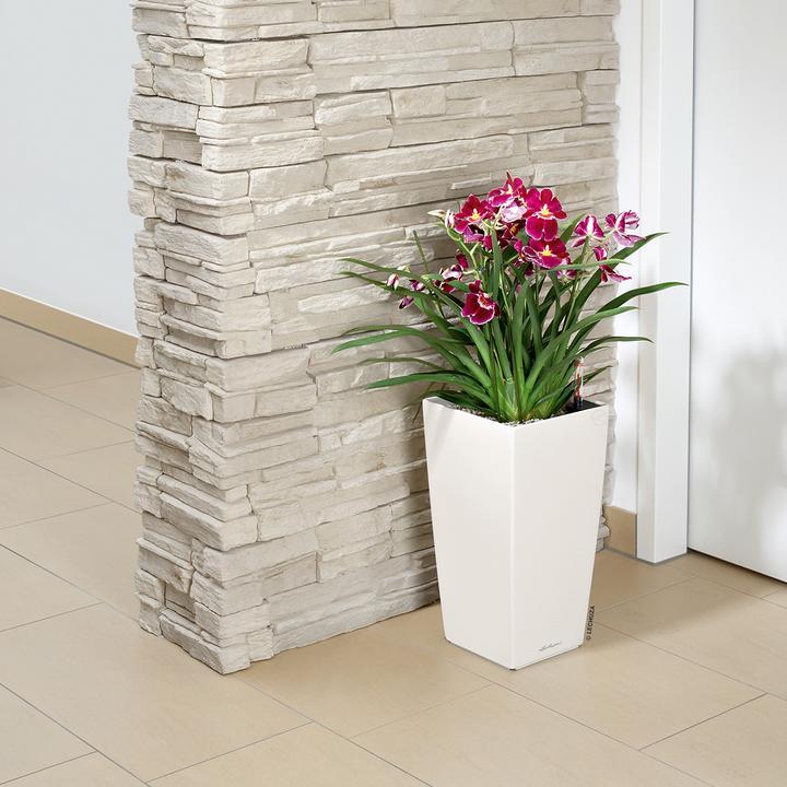 Produktbild Lechuza Cubico (22 x 41 cm)