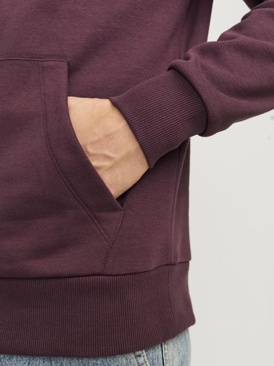 Actual product image Jack & Jones Jjecaleb Varsity Sweat Hood Noos (S)