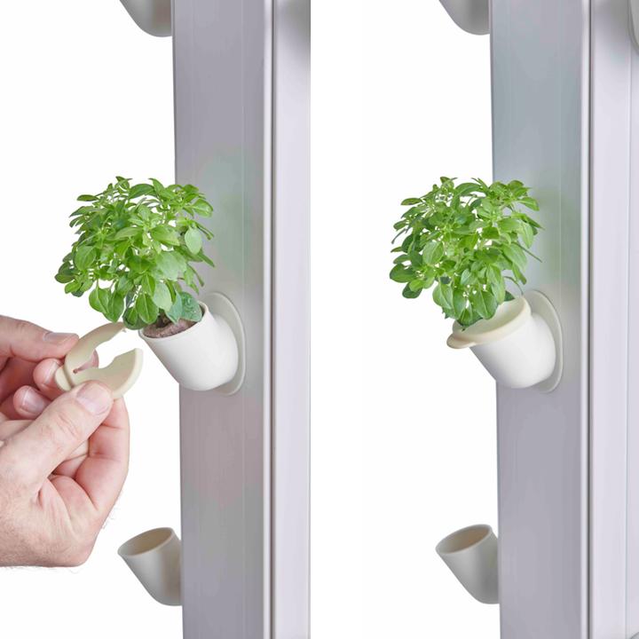 Actual product image FARMii Plus Set