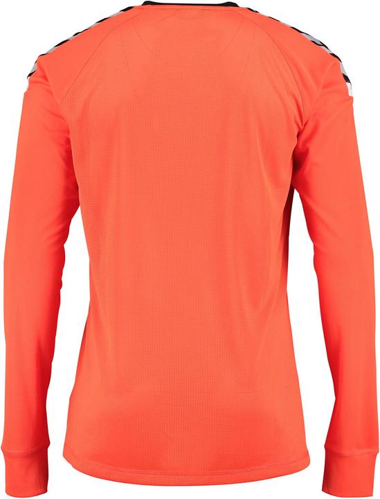 Actual product image hummel Authentic Charge Ls Poly Jersey (M)