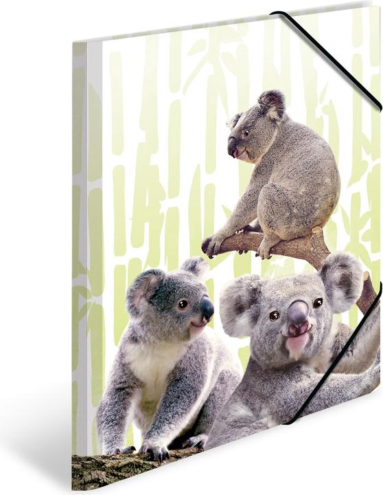 Productafbeelding HERMA A3 motief map (A3, 1x)