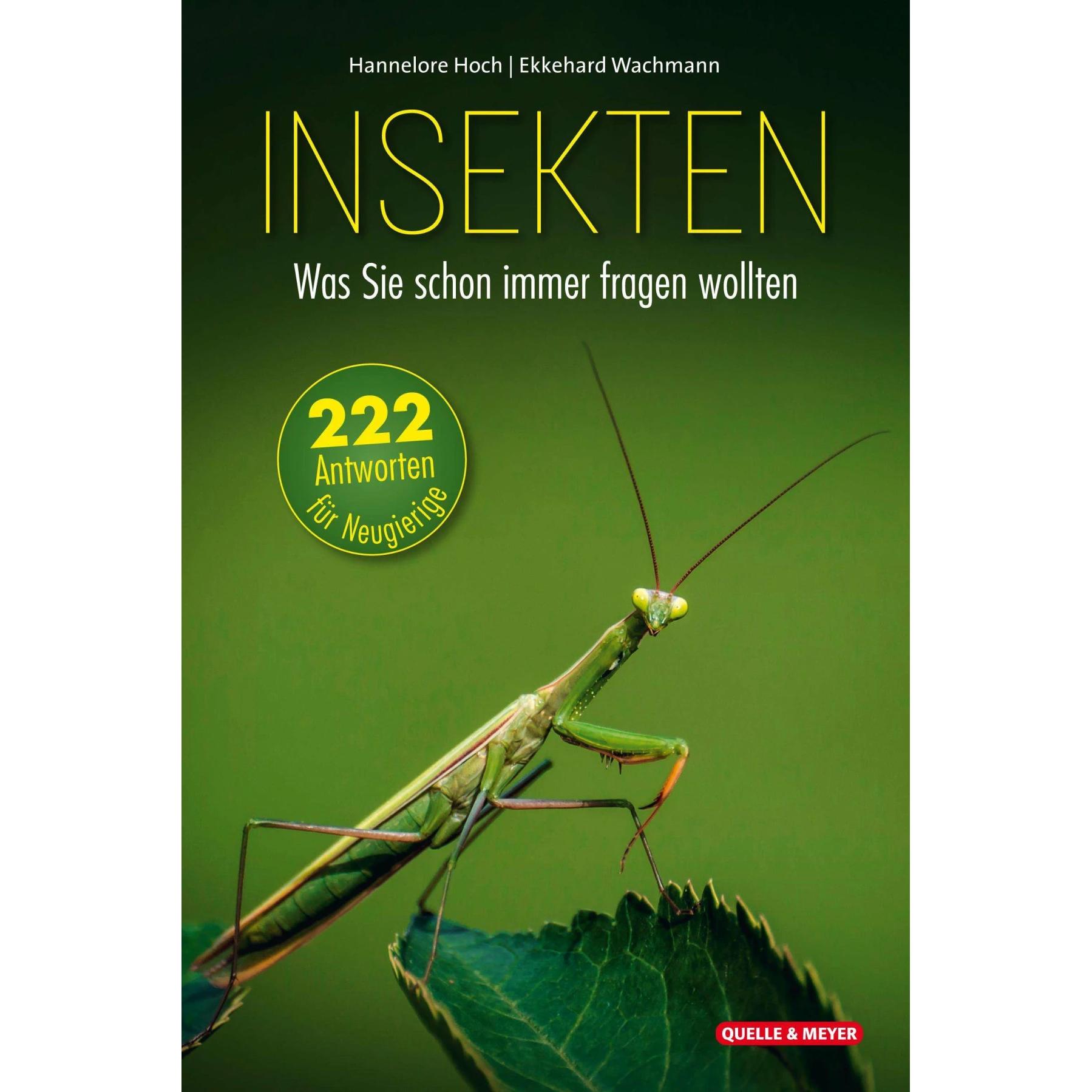 Insekten – Was Sie schon immer fragen wollten, Ratgeber von Ekkehard Wachmann, Hannelore Hoch