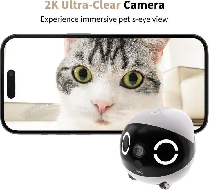 Actual product image Enabot Rola Mini Companion Robot (2304 x 1296 Pixels)