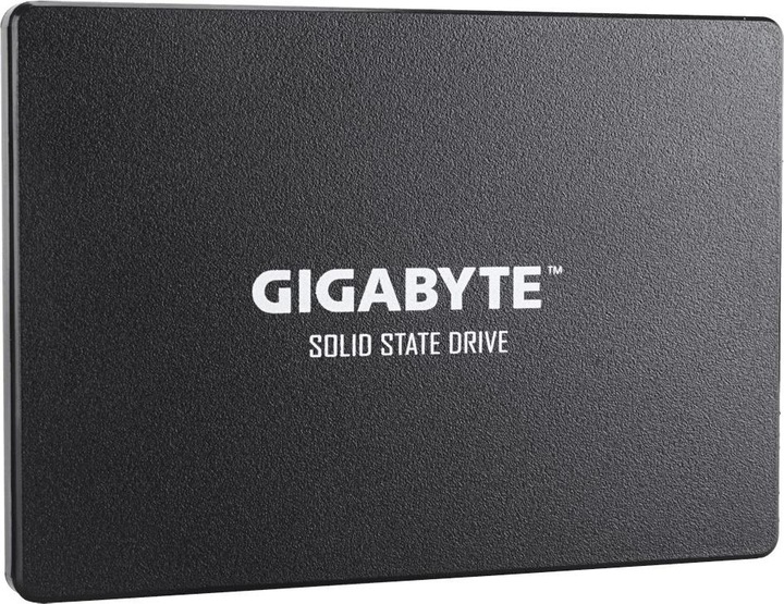Actual product image Gigabyte GP-GSTFS31100TNTD (1000 GB, 2.5")