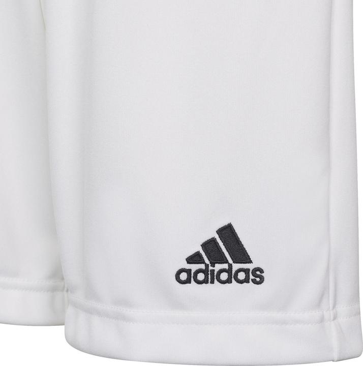 Actual product image adidas Entrada 22 Shorts (116)