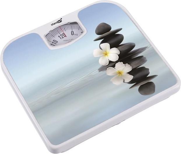 Actual product image Camry MECHANICAL HOUSEHOLD SCALES BR2016-H163