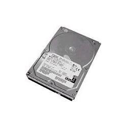 Lenovo 73Gb Hotswap 3.5Inch 10K U320 (0.07 TB, 3.5"), Festplatte
