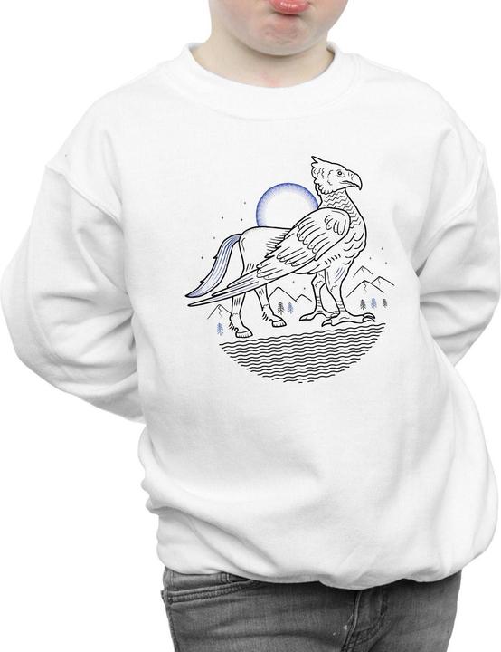 Image du produit - Sweat BUCKBEAK LINE ART - Garçon (116)
