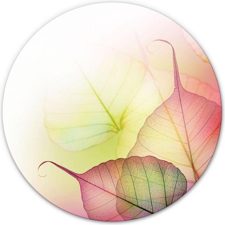 Image du produit Trenddeko Rose Design - rond (70 x 70 cm)