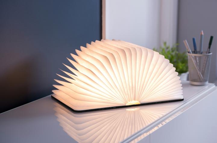 Image du produit Gingko Livre