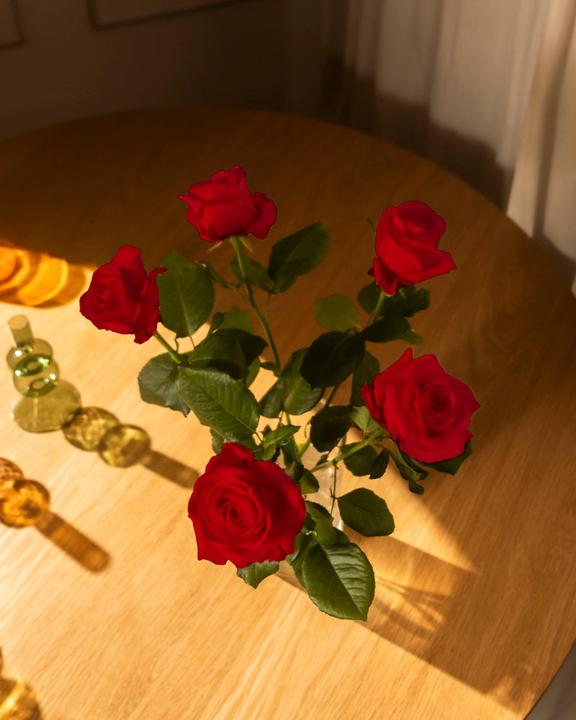 Image du produit feey Roses rouges 20 pcs (Fleurs coupées, 20x)