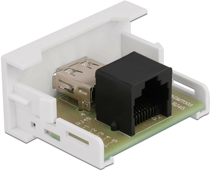 Actual product image Delock Easy 45 Module USB 2.0 Type-A female to RJ45 female 22.5 x 45 mm