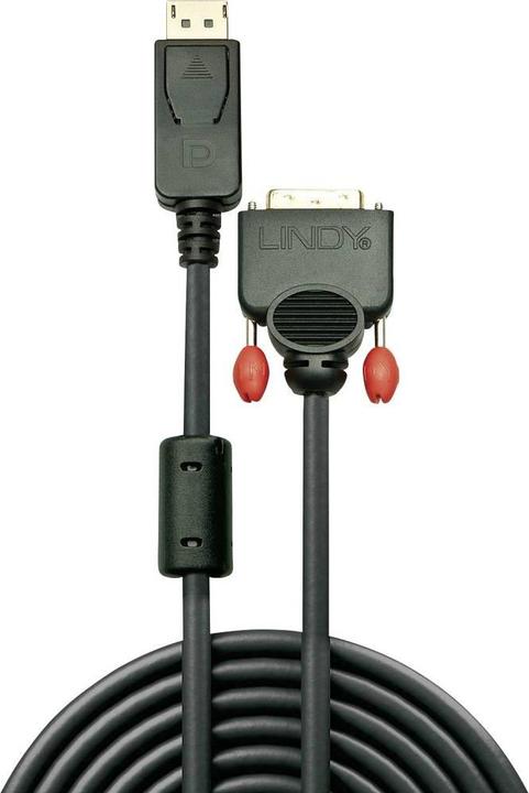 Actual product image Lindy DisplayPort — DVI (5 m)